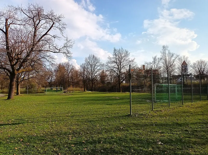 Wiese mit Fußballtoren im Stadtpark zum Kicken in der Halbzeit, Public Viewing mit Kindern zur EM
