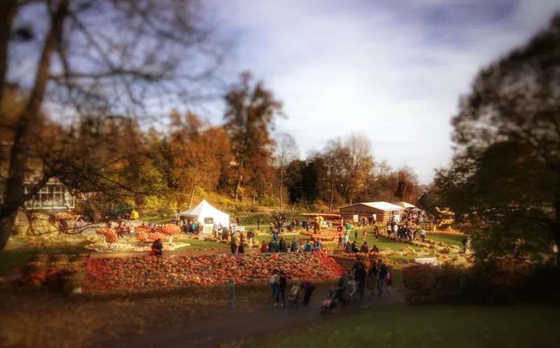 Kürbisausstellung im Schlossgarten Ludwigsburg, Halloween mit Kindern im Herbst
