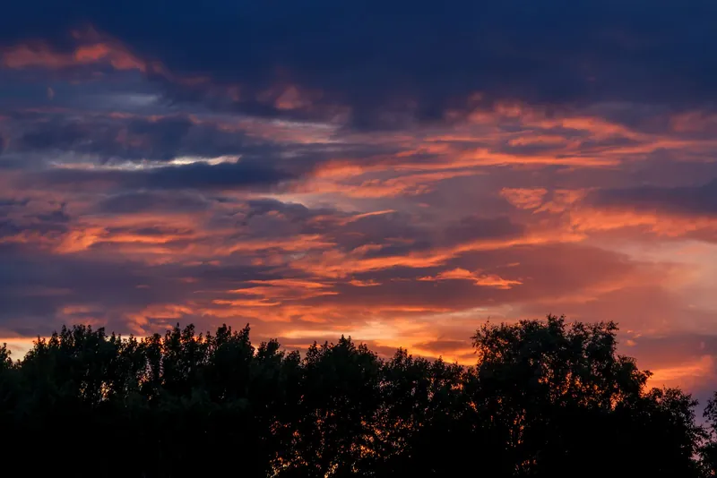 Abendhimmel über Bäumen am Tag der partiellen Sonnenfinsternis im August 2026