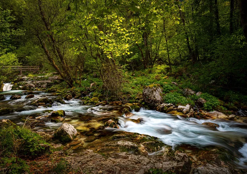 Clear Soča river flowing through a green forest in Slovenia, a quiet choice for family travel in Europe