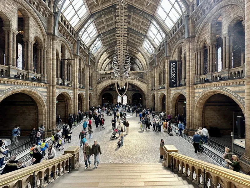 Blue whale skeleton above families in Hintze Hall at the Natural History Museum, one of the best free science museums for kids